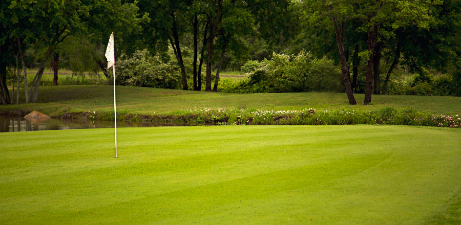 image of golf course green
