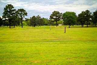 fairway with trees in the background