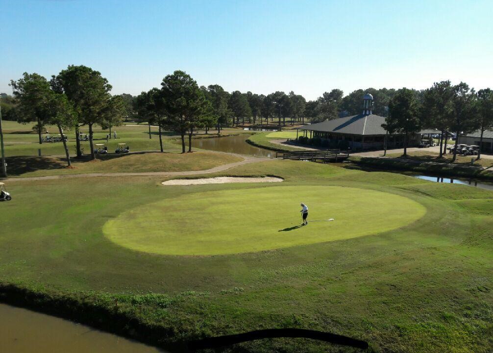 golfer putting on the green