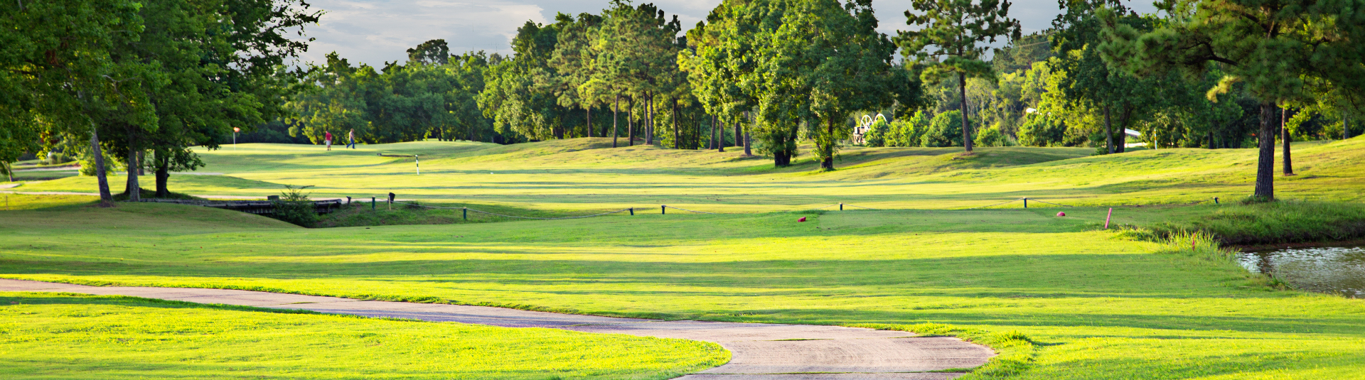 view of golf course green